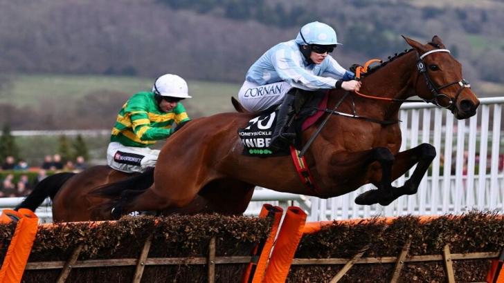 Rachael Blackmore riding Honeysuckle at Cheltenham